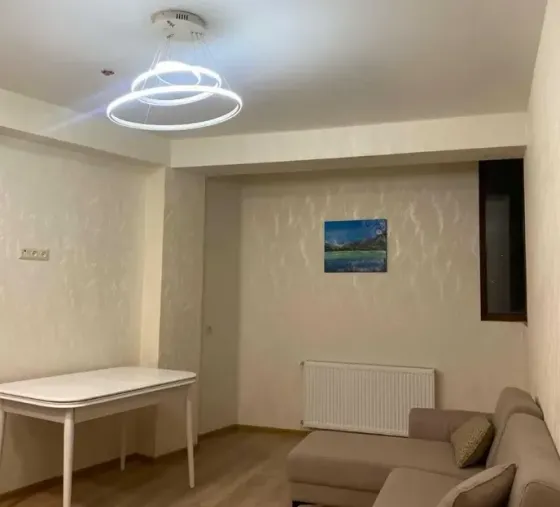 Apartments For Rent two-room 60м² 15/17 floor Tbilisi