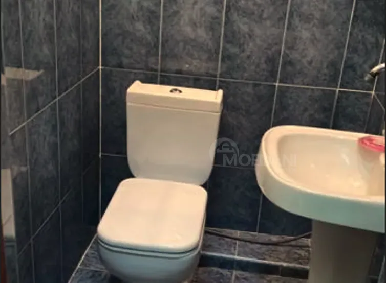 Сдам Дом 300м² Тбилиси - изображение 10