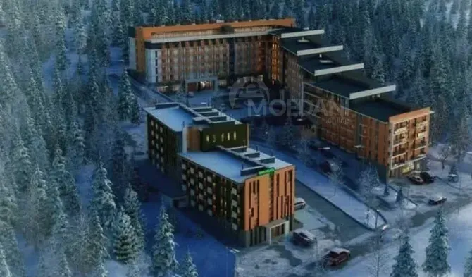 იყიდება 1 ოთახიანი ბინას $42 000  ბორჯომი  33მ² 2/7 სართ ბორჯომი - photo 1