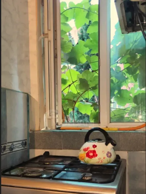 Apartments For Rent two-room 60м² 2/5 floor Tbilisi - photo 5