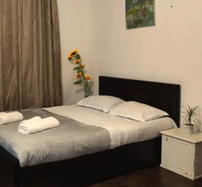 Apartments For Rent two-room 60м² 2/5 floor Tbilisi - photo 9