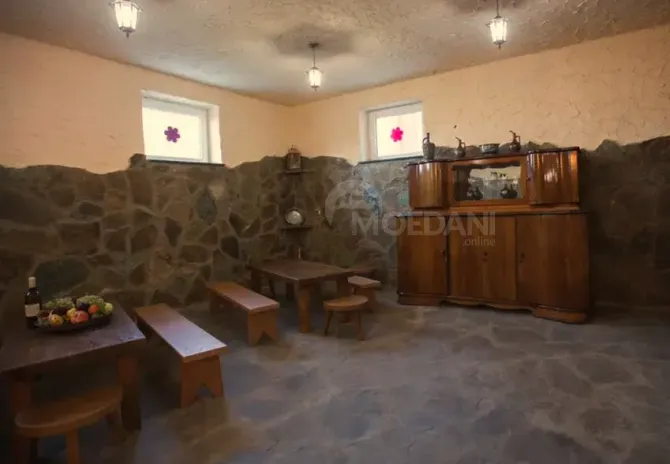 Ქირავდება დღიურად სახლი 500м² თბილისი - photo 11