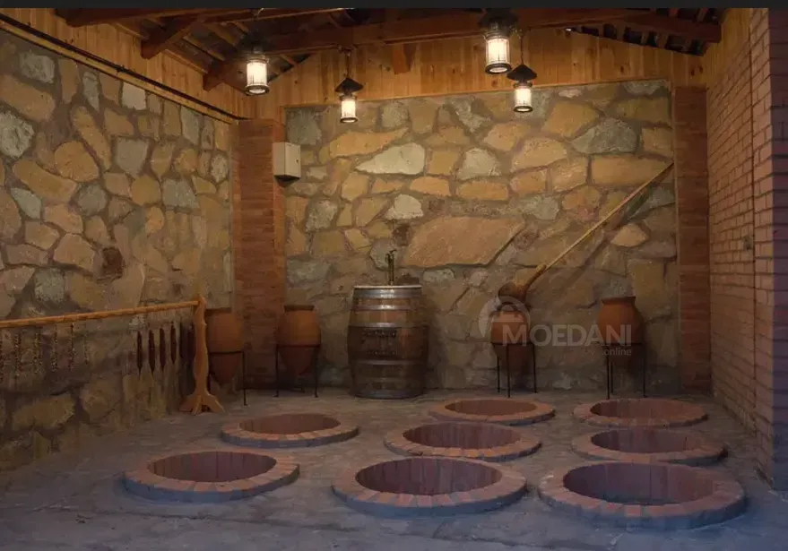 Сдается посуточно House 500м² Tbilisi - photo 6