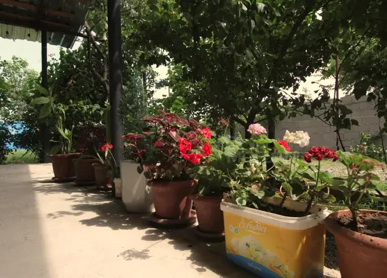 Сдается посуточно Дом 400м² Тбилиси - изображение 10