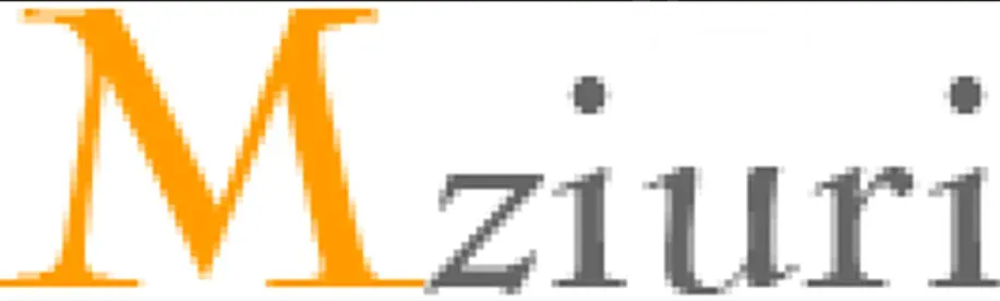 Vacancy for the position of driver Tbilisi - photo 1