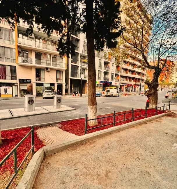 Сдам 3-комн. квартиру на сутки в Тбилиси  70м² 2/7 эт. Тбилиси - изображение 5