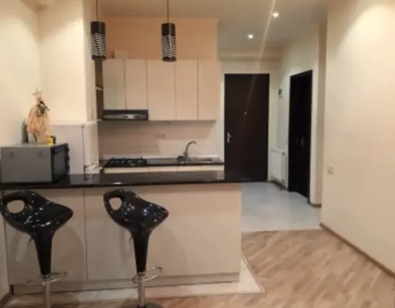 ქირავდება 2 ოთახიანი ბინა 60მ² 9/23 სართ თბილისი