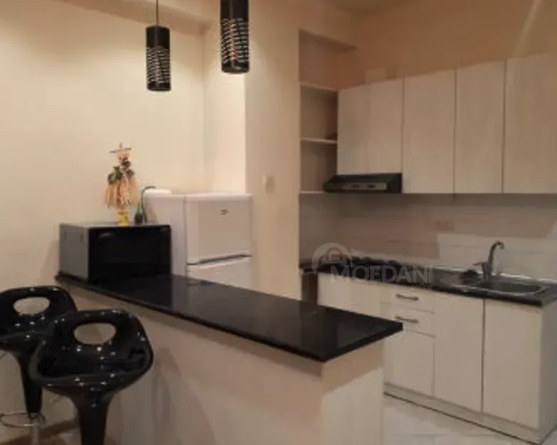 Apartments For Rent two-room 60м² 9/23 floor Tbilisi - photo 6