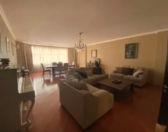 ქირავდება 5 ოთახიანი ბინა 270მ² 5/10 სართ თბილისი