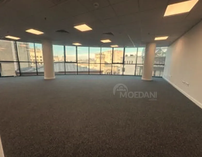 Office commercial space for rent in Mtatsminda Tbilisi - photo 9