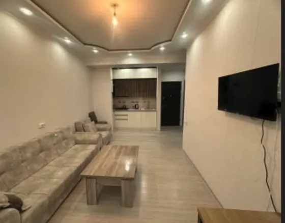 Apartments For Rent two-room 55м² 4/23 floor Tbilisi