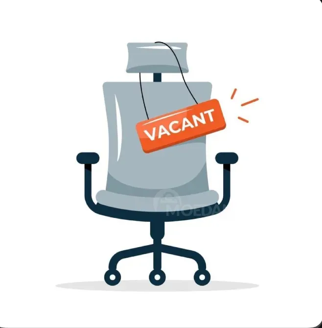 Სოციალური მარკეტინგის მენეჯერი თბილისი - photo 1