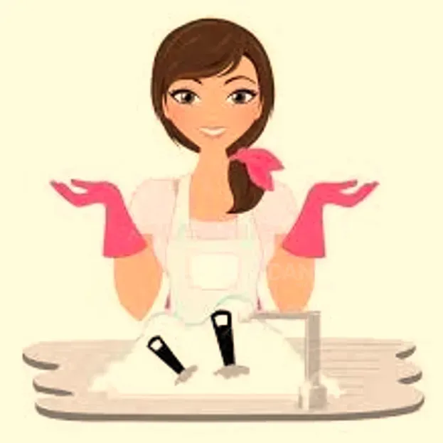 Dishwasher Tbilisi - photo 1