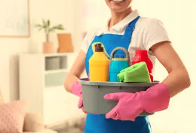 Დამლაგებელი თბილისი - photo 1