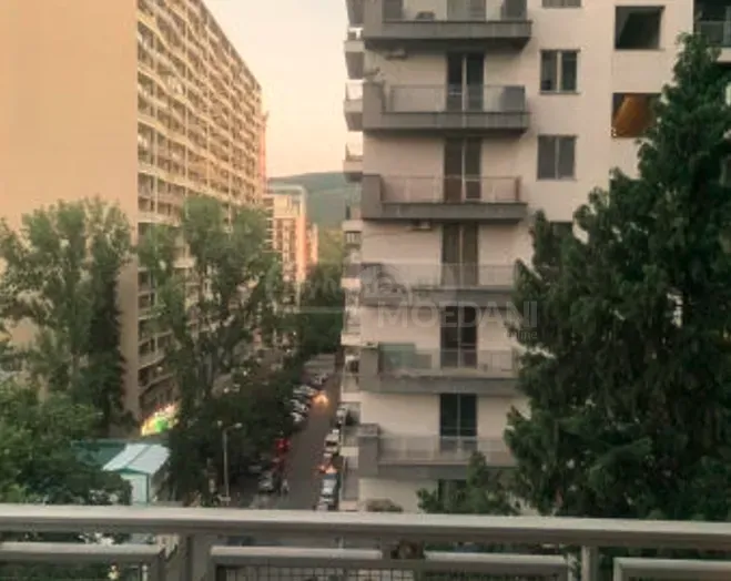 ქირავდება 5 ოთახიანი ბინა 240მ² 7/12 სართ თბილისი - photo 9