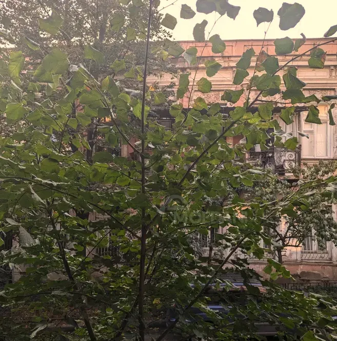 Сдам 3-комн. квартиру 80м² 1/2 эт. Тбилиси - изображение 9