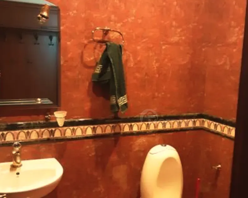 ქირავდება 4 ოთახიანი ბინა 160მ² 6/10 სართ თბილისი - photo 10