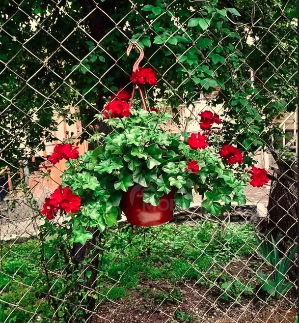 Сдам Дом 60м² Тбилиси - изображение 12