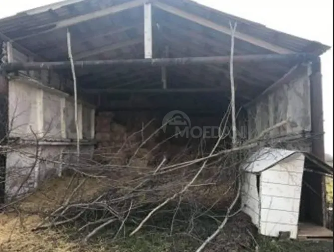 Იყიდება მიწის ნაკვეთი 81000м² გურჯაანი - photo 4