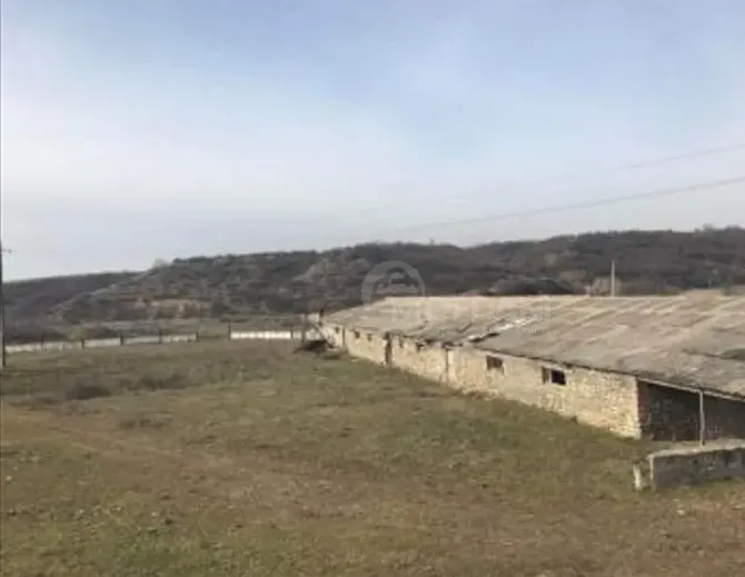 Იყიდება მიწის ნაკვეთი 81000м² გურჯაანი - photo 6
