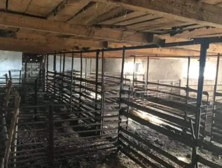 Продам земельный участок 81000м² Гурджаани - изображение 5