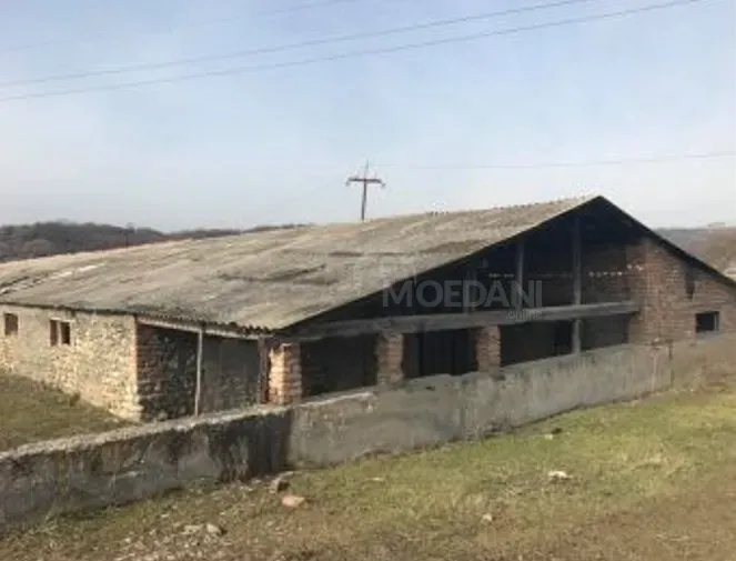 Продам земельный участок 81000м² Гурджаани - изображение 8