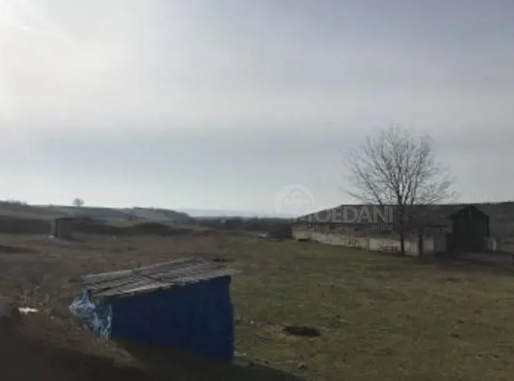 Продам земельный участок 81000м² Гурджаани - изображение 9