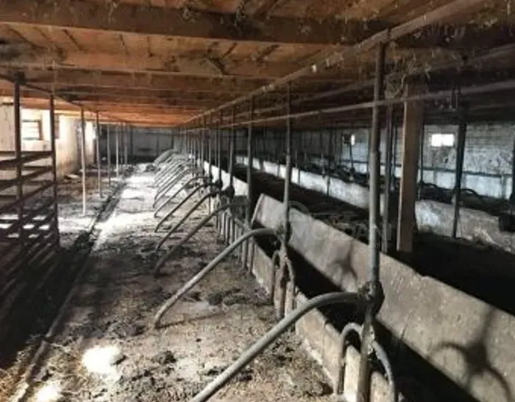 Продам земельный участок 81000м² Гурджаани - изображение 1