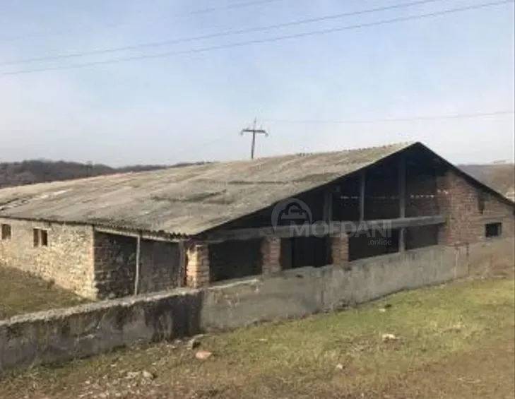 Продам земельный участок 81000м² Гурджаани - изображение 2