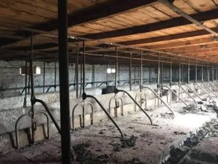 Продам земельный участок 81000м² Гурджаани - изображение 7