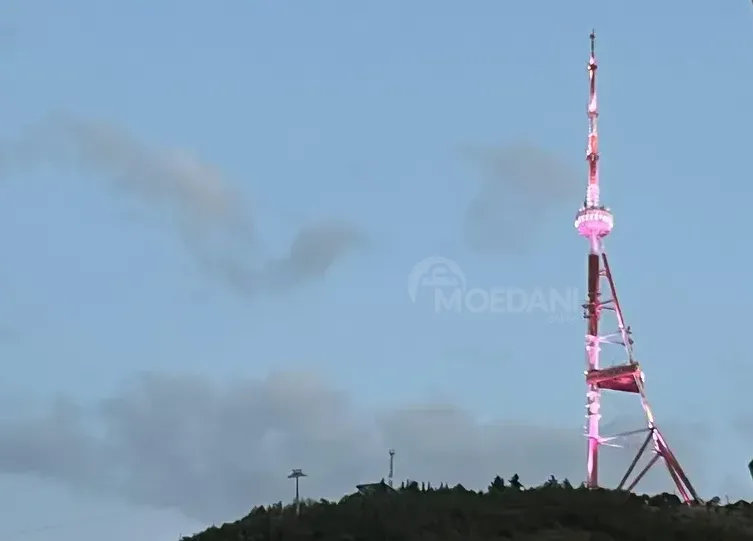 ქირავდება 2 ოთახიანი ბინა 55მ² 3/1 სართ თბილისი - photo 8