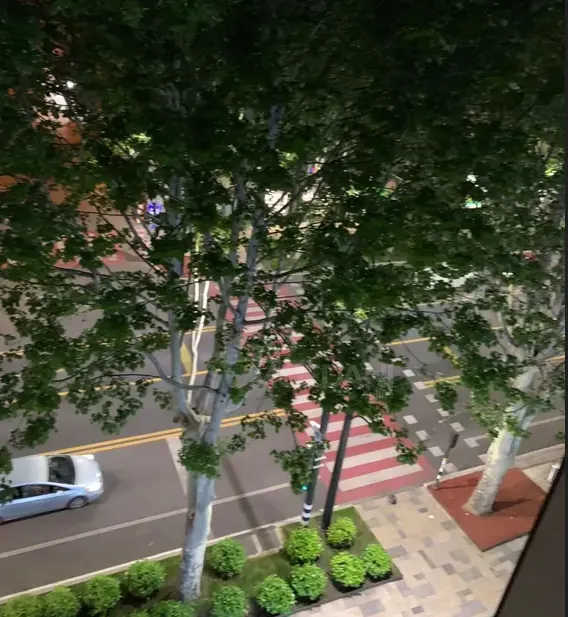 ქირავდება 3 ოთახიანი ბინა 110მ² 4/23 სართ თბილისი - photo 12