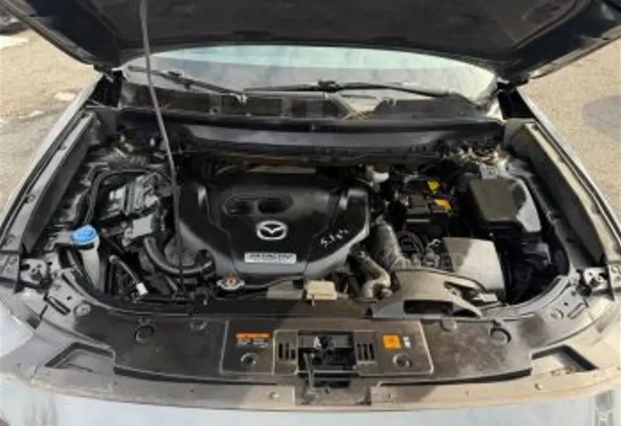 Mazda CX-9 2.5L 2018 თბილისი - photo 6