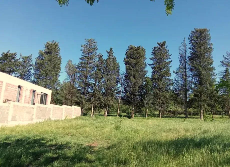 Продам земельный участок 1000м² Тбилиси - изображение 3