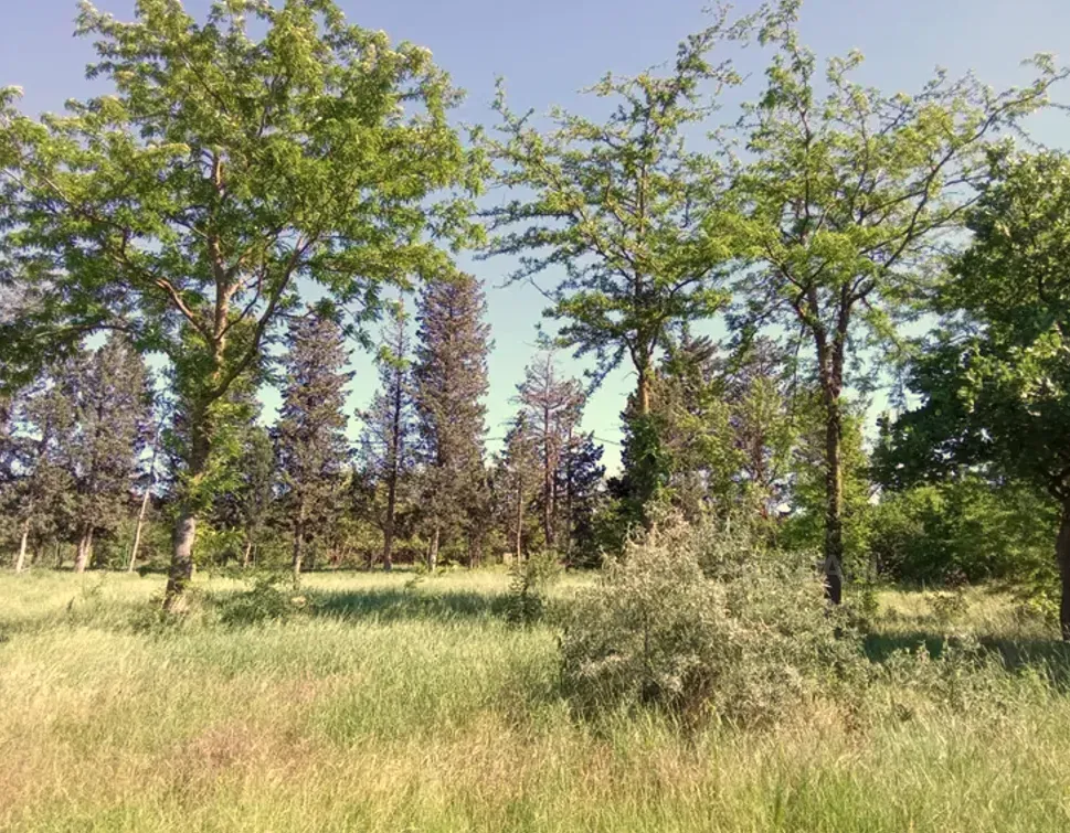Продам земельный участок 1000м² Тбилиси - изображение 4
