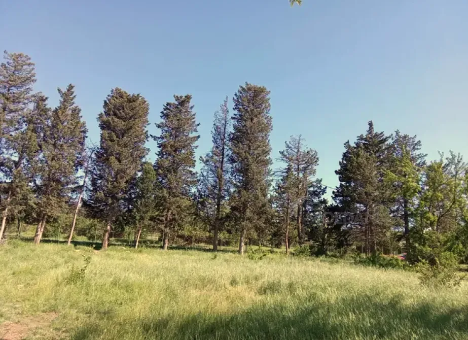 Продам земельный участок 1000м² Тбилиси - изображение 2