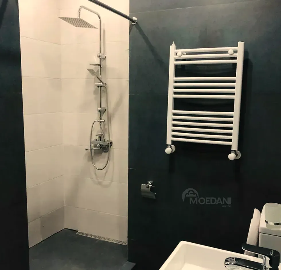 ქირავდება 3 ოთახიანი ბინა 170მ² 8/16 სართ თბილისი - photo 3