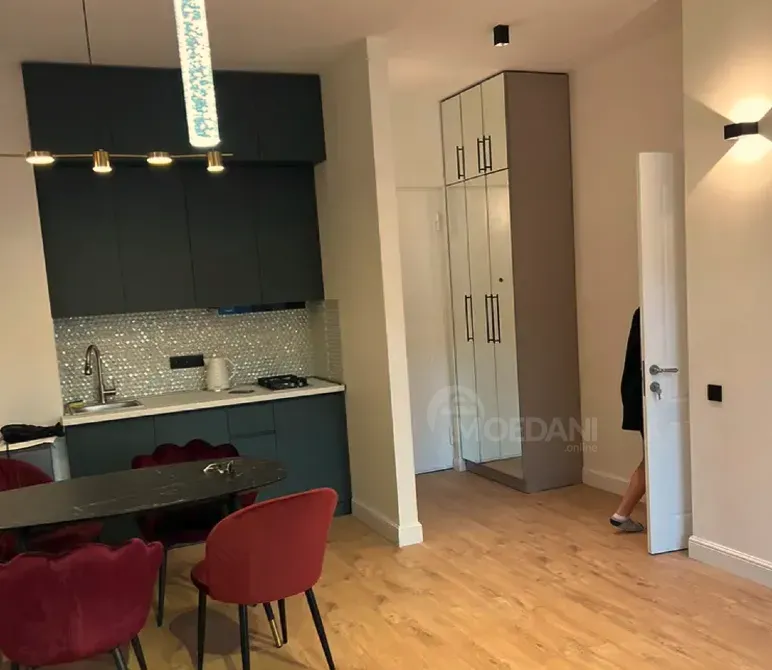 ქირავდება 2 ოთახიანი ბინა 45მ² 4/21 სართ თბილისი - photo 1