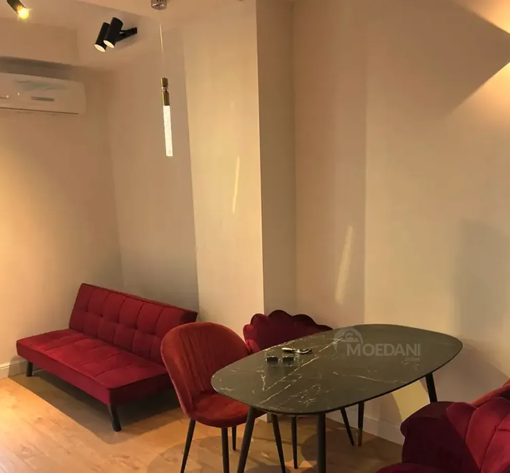 ქირავდება 2 ოთახიანი ბინა 45მ² 4/21 სართ თბილისი - photo 4