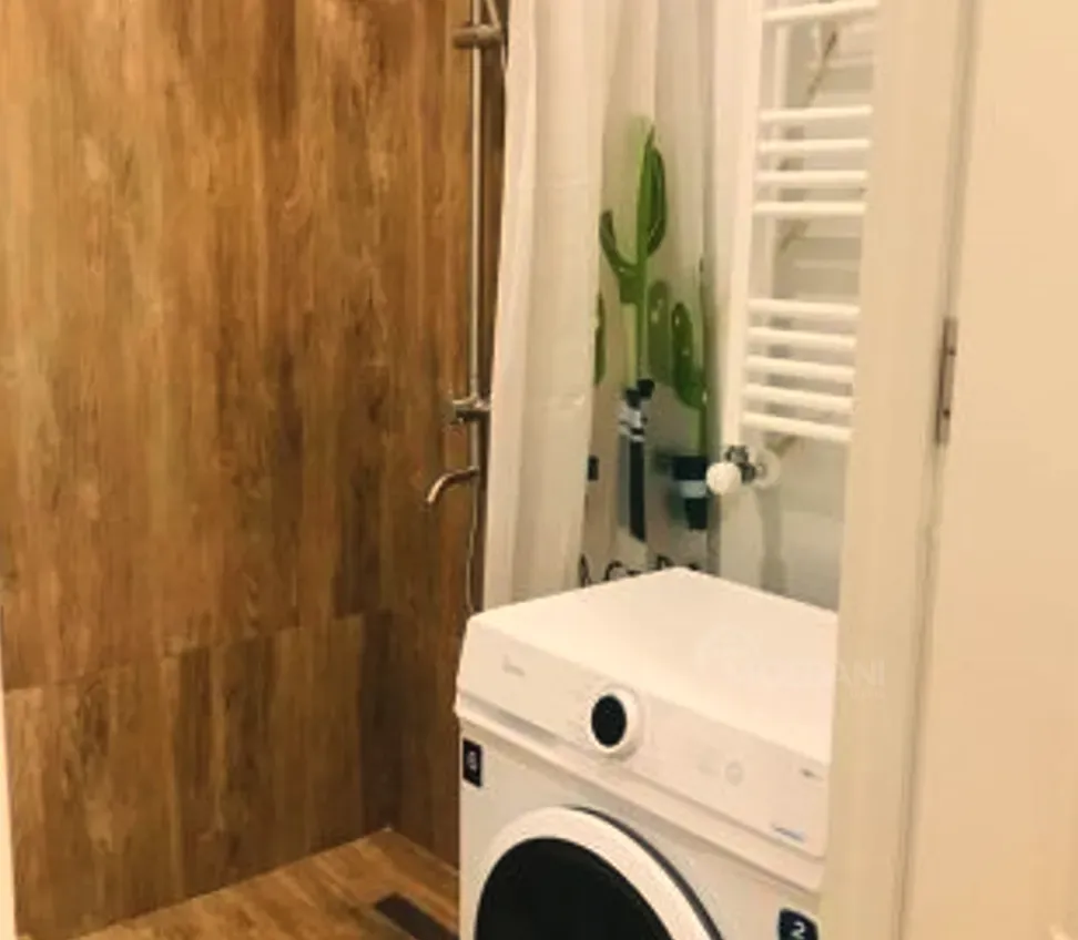 Apartments For Rent two-room 50м² 4/8 floor Tbilisi - photo 3