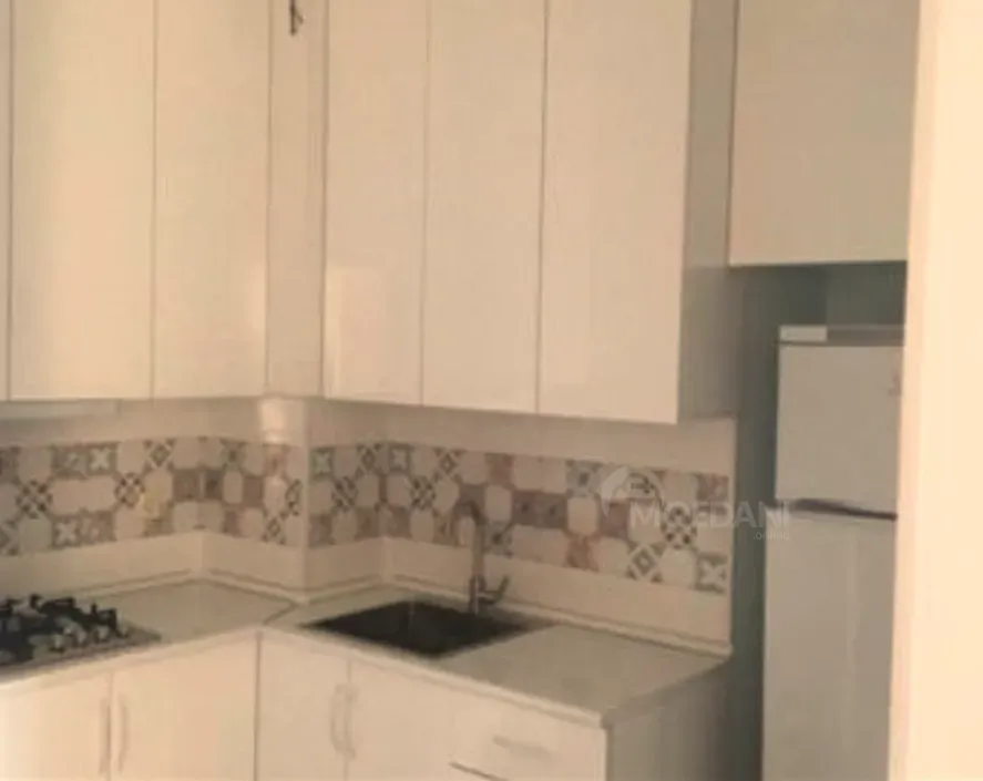 Apartments For Rent two-room 65м² 19/24 floor Tbilisi - photo 3