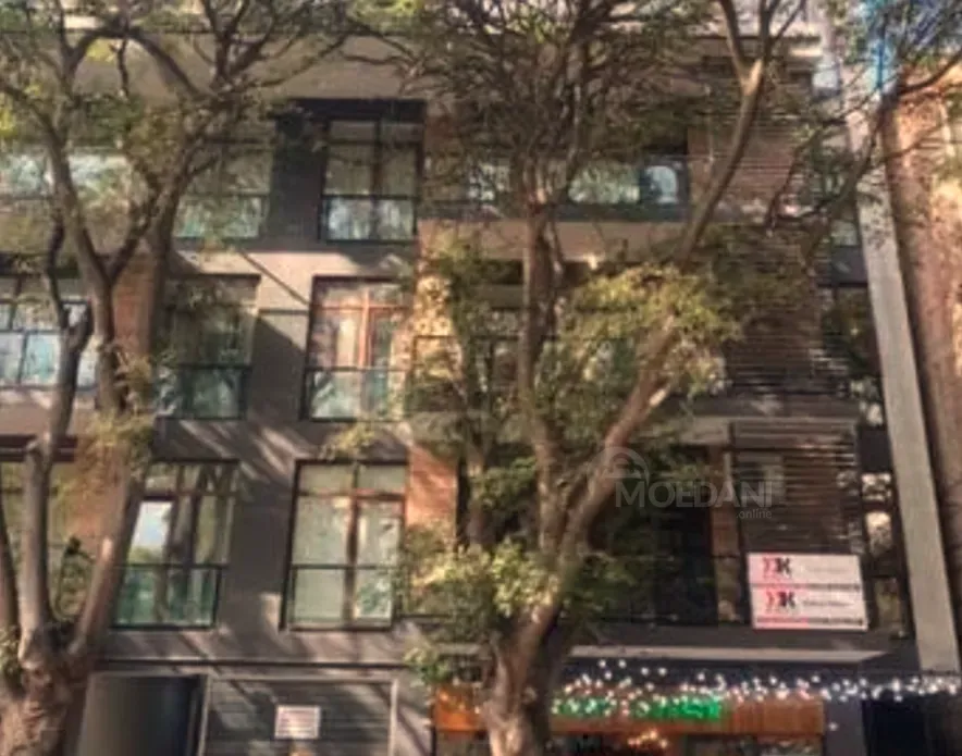 ქირავდება 3 ოთახიანი ბინა 120მ² 7/10 სართ თბილისი - photo 2