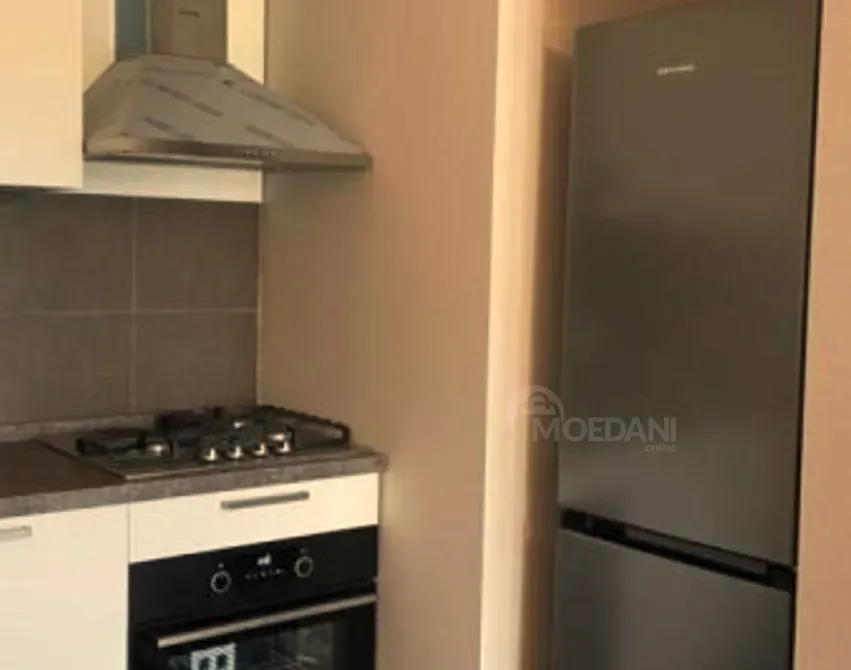 Apartments For Rent two-room 48м² 6/8 floor Tbilisi - photo 9