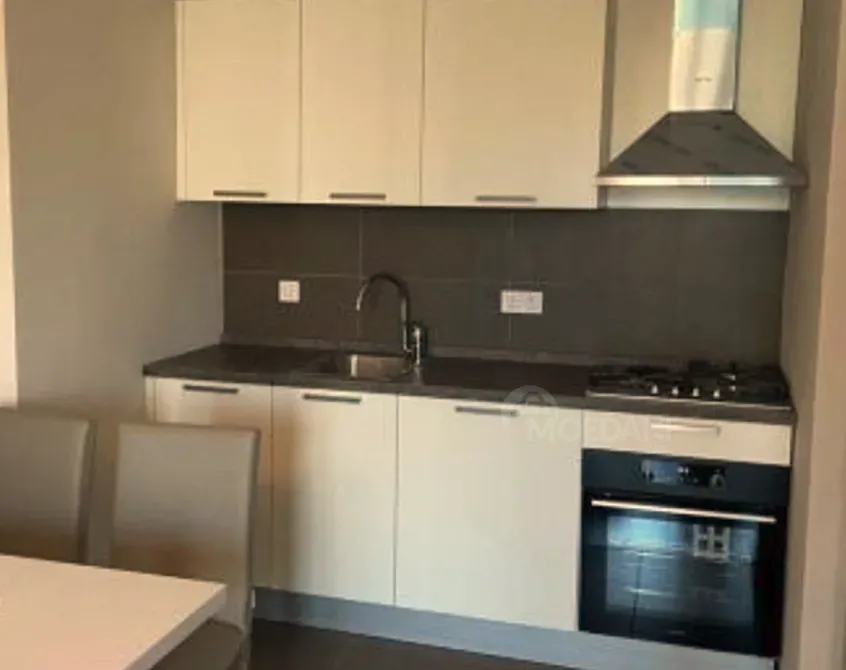 Apartments For Rent two-room 48м² 6/8 floor Tbilisi - photo 4