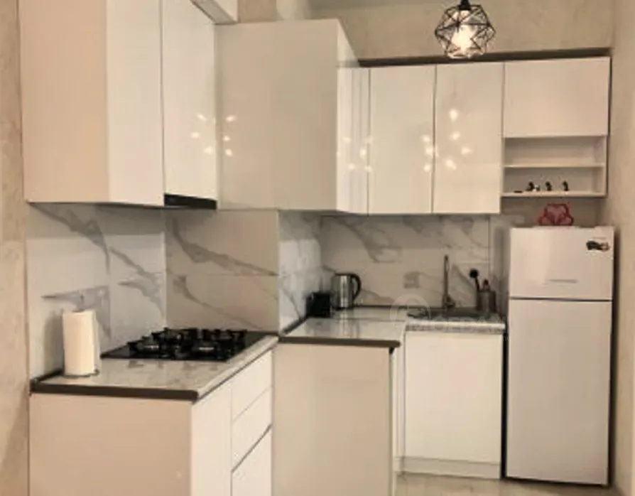 ქირავდება 2 ოთახიანი ბინა 55მ² 9/22 სართ თბილისი - photo 4