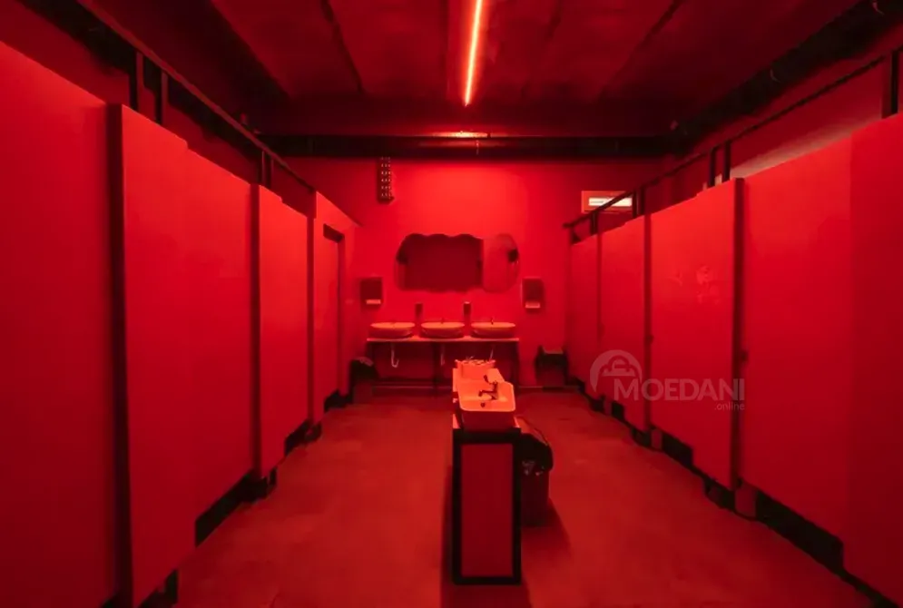 Объект общественного питания - коммерческое помещение в аренду в Чугурети Тбилиси - изображение 3