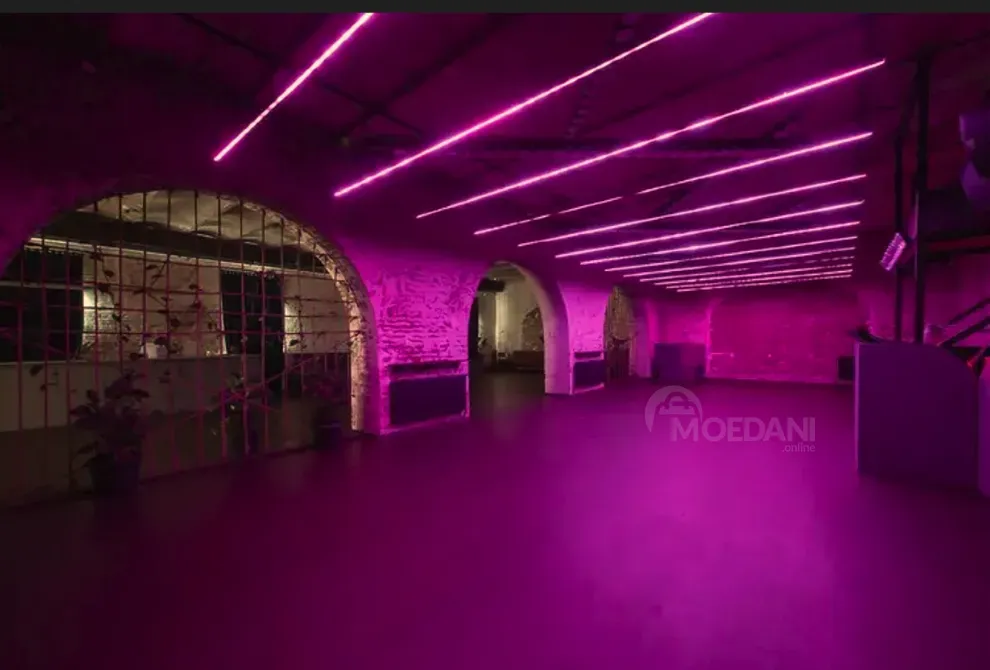 Объект общественного питания - коммерческое помещение в аренду в Чугурети Тбилиси - изображение 5