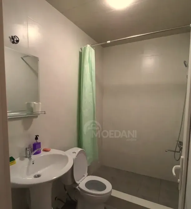 Apartments For Rent two-room 50м² 3/10 floor Tbilisi - photo 9