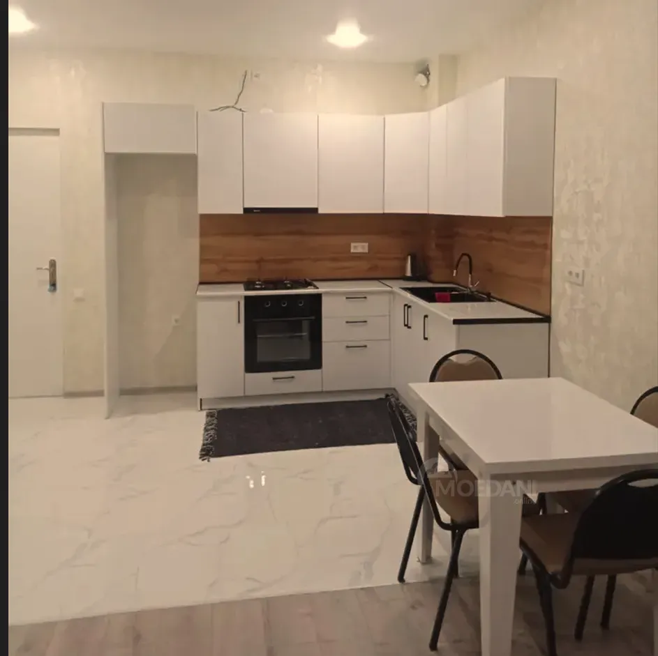 ქირავდება 1 ოთახიანი ბინა 50მ² 8/12 სართ თბილისი - photo 2