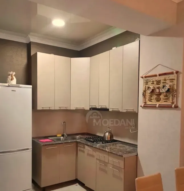 Apartments For Rent two-room 55м² 11/17 floor Tbilisi - photo 4